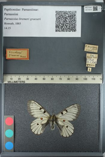 Media type: image;   Entomology 174573